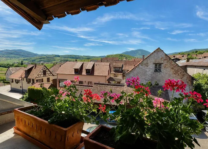 Maison Kieffer - Hotel & Vins D'Alsace