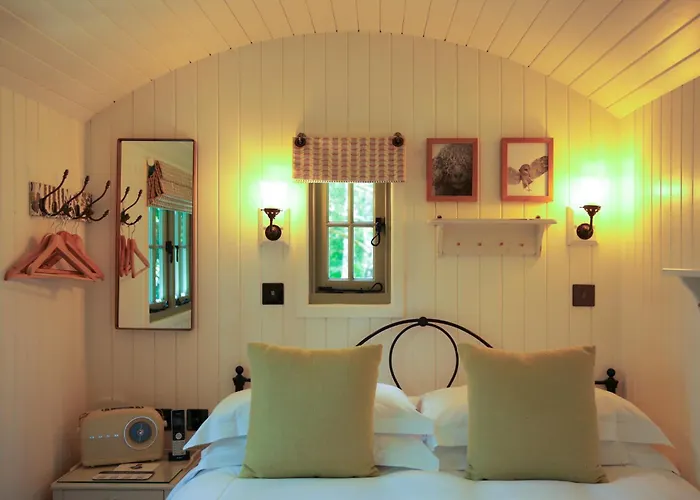 The Fish Hotel