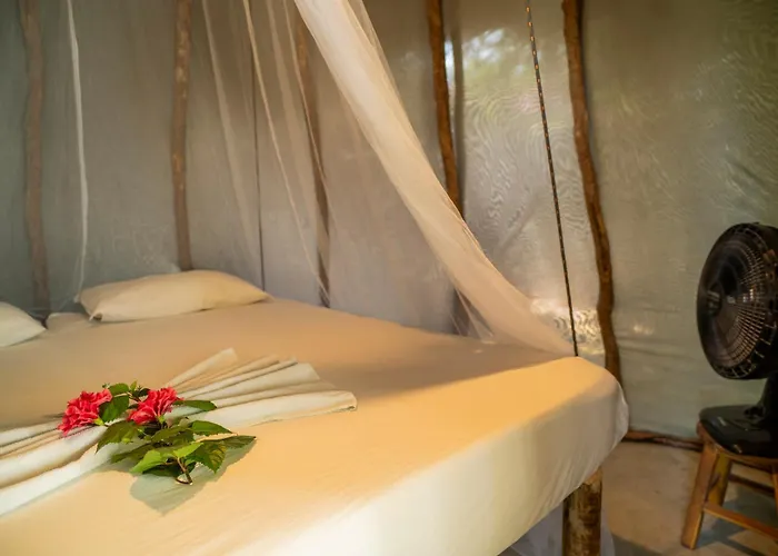 Treehouse Kitecamp Jericoacoara