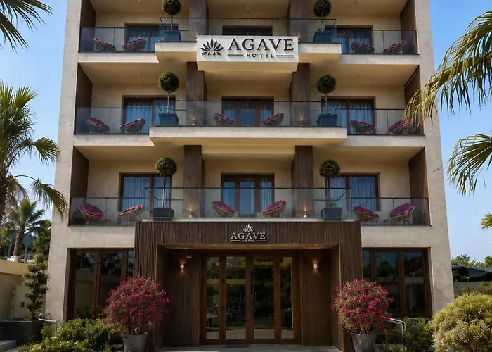 Agave Hotel