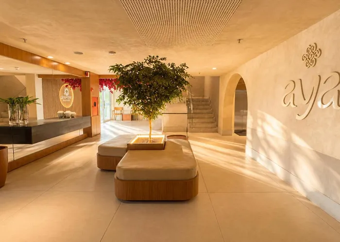 Arraial Concept Hotel