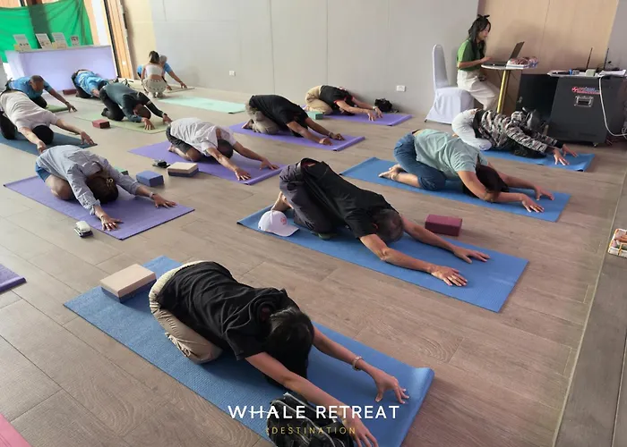 Whale Retreat Destination