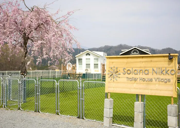 Solana 日光