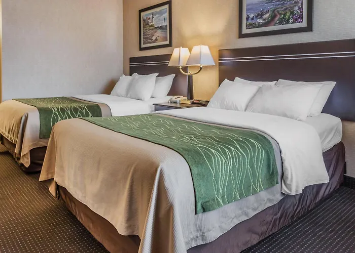 Comfort Inn On The Bay