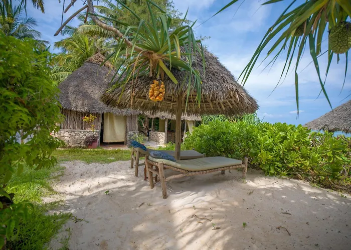Zoi Retreat Hotel Zanzibar