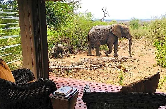 Impodimo Game Lodge