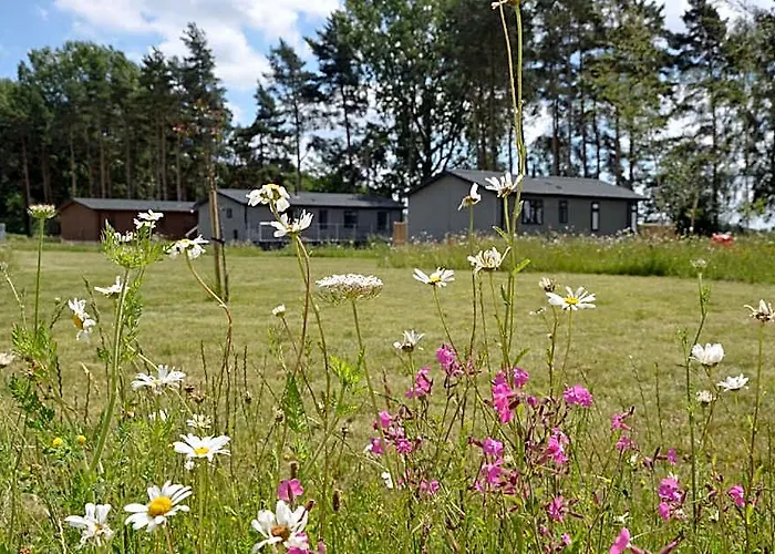 Hollicarrs - Pinewood Lodge