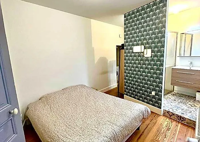 Charming Albi Apartment In City Centre