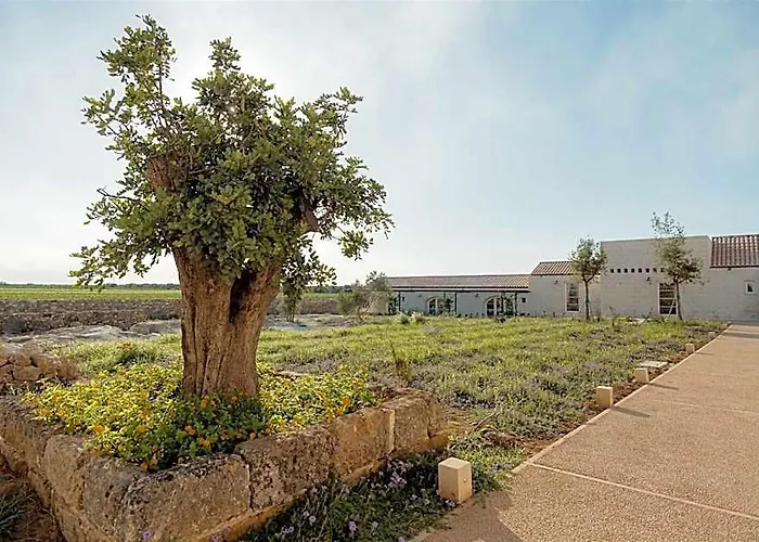 Masseria Vaccaro - Boutique Hotel