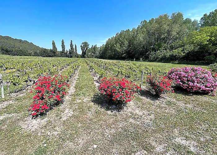 Chateau Talaud