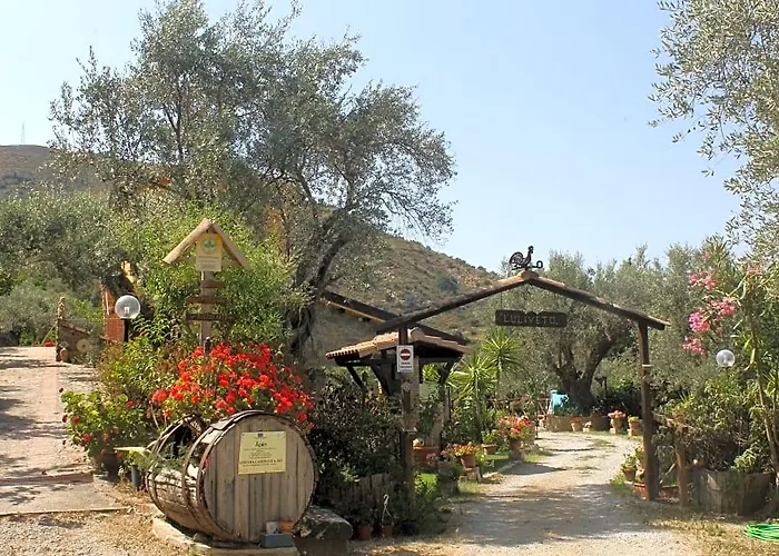 Agriturismo L'Uliveto