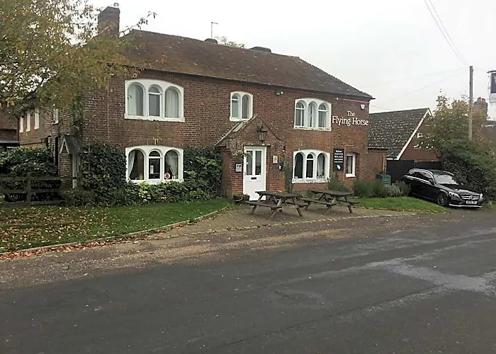 The Flying Horse