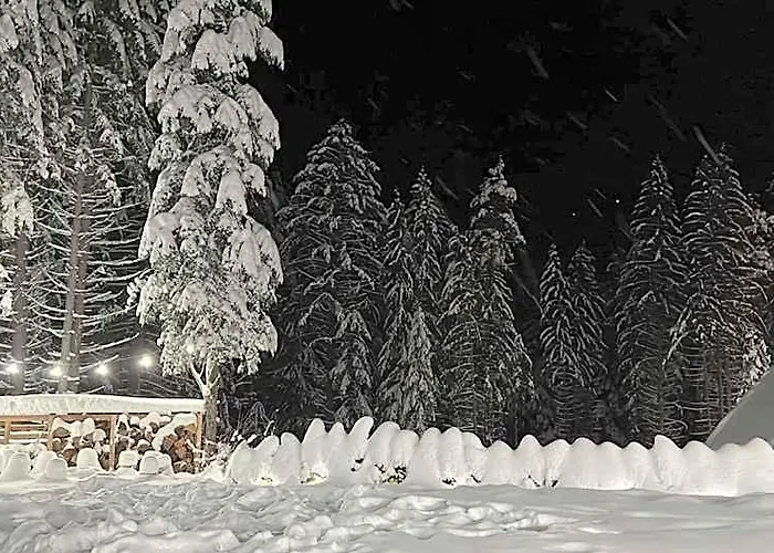 Berghof Eva - Hotel
