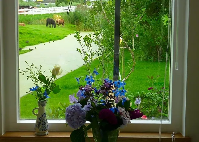 B&B Bloom