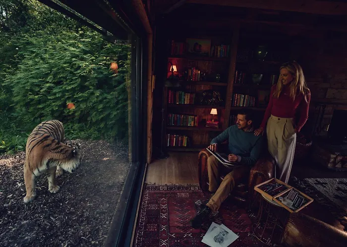 Tiger Lodge - At Port Lympne Hotel & Reserve
