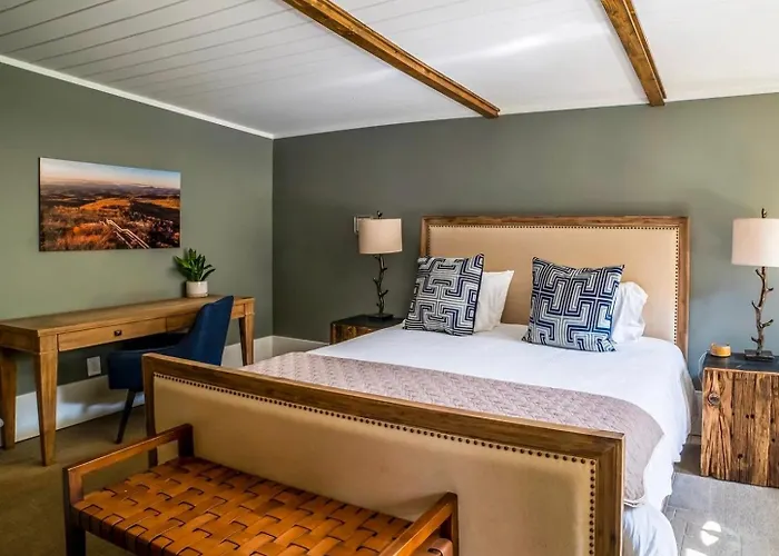 Hellbender Bed & Beverage