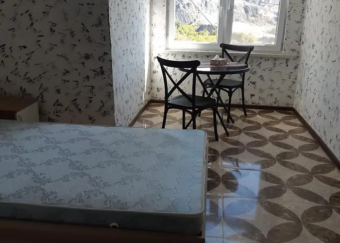 Адами Драхт