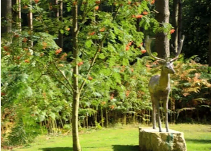 Hollicarrs - Woodland Lodge