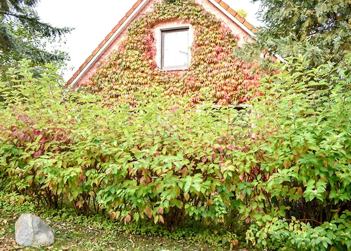 Bio- und Gesundheitshotel Gutshaus Stellshagen