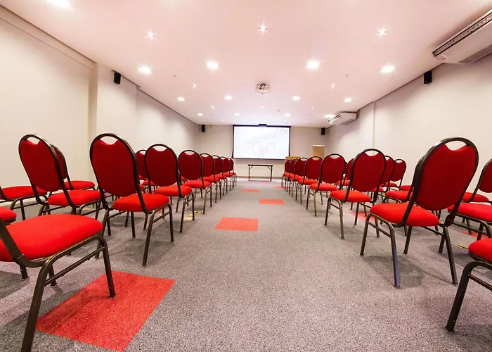 Ibis Imperatriz