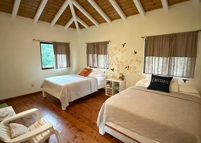 La Casa De Pucha Surf History & Tropical Stay