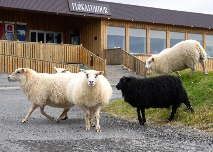 Hótel Flókalundur