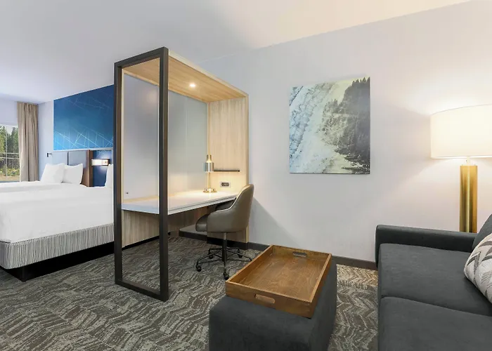 Springhill Suites By Marriott Truckee Lake Tahoe