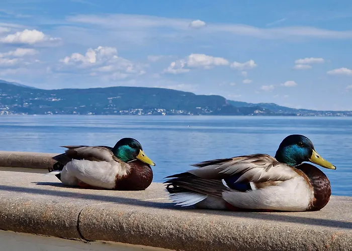 Hotel Du Lac Gardone Riviera
