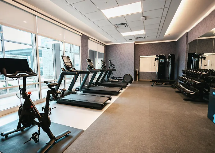 Homewood Suites By Hilton Buford Mall Of Ga