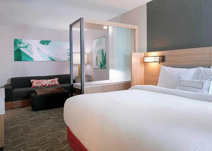 Springhill Suites By Marriott East Lansing University Area, Lansing Area