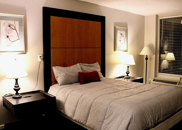 Apm Inn And Suites