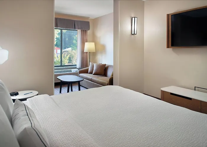 Fairfield Inn & Suites By Marriott Asheville Airport/Fletcher