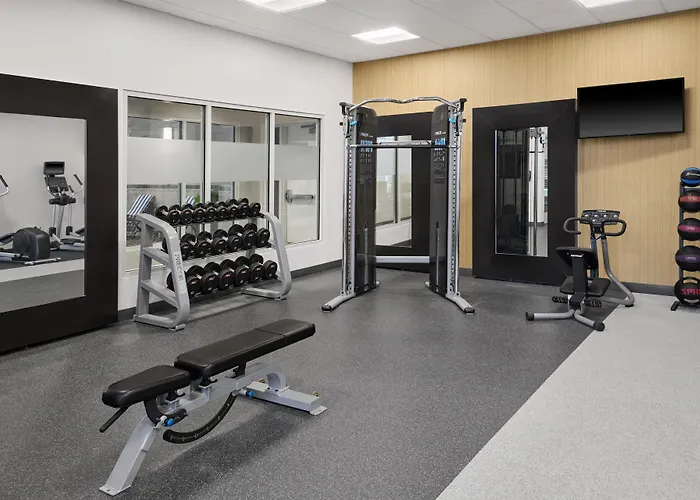 Hilton Garden Inn Detroit Troy