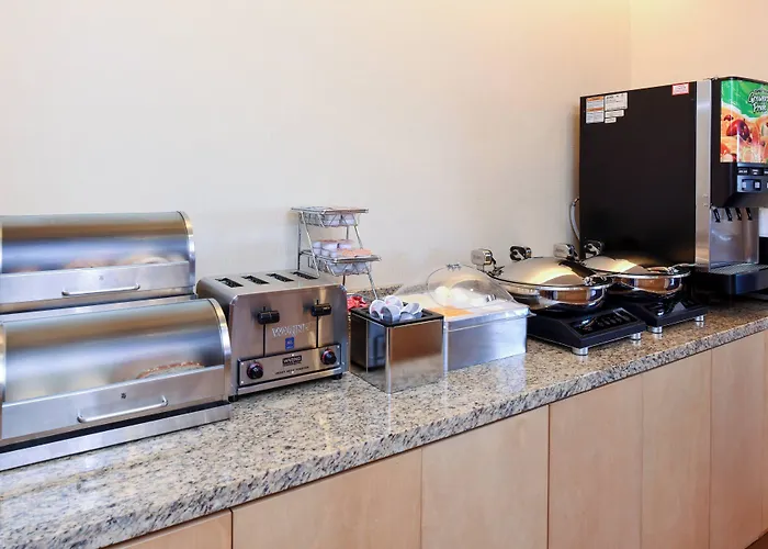 Towneplace By Marriott Suites Detroit Auburn Hills
