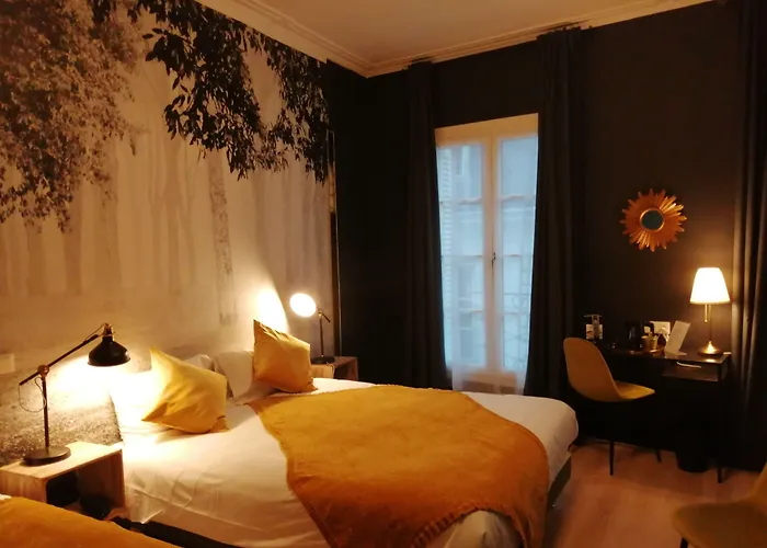 Hotel Du Cygne Tours
