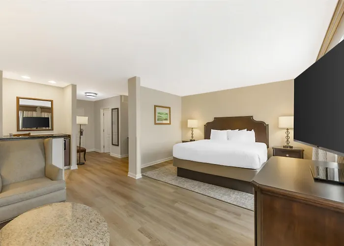Best Western PLUS Vineyard Inn&Suites