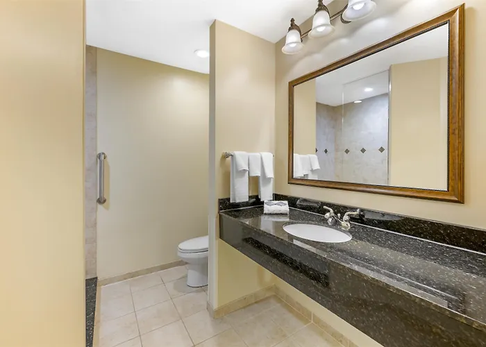 Best Western PLUS Vineyard Inn&Suites