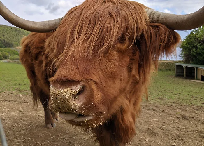 Loch Melfort Hotel