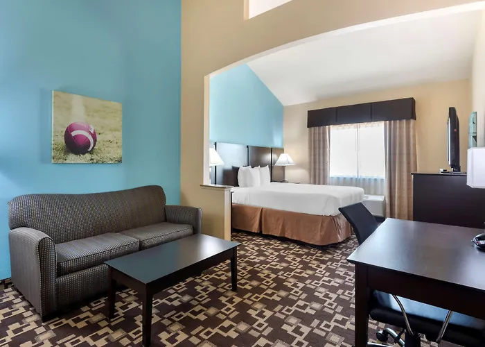 Best Western Plus Arlington North Hotel & Suites