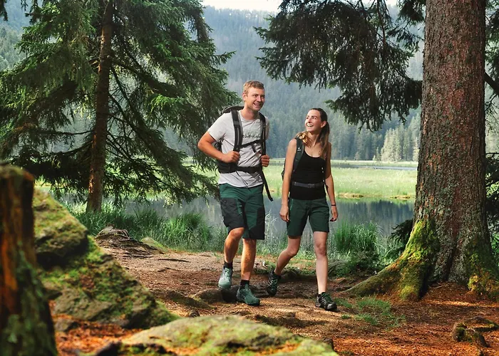 Berghotel Mooshuette Am Arber, Naturidyll Auf 950M, Wandern Direkt Ab Hoteltuer