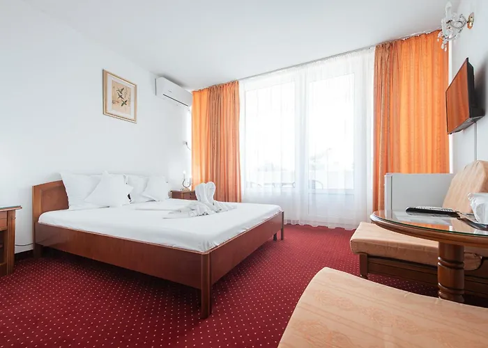 Hotel Scoica