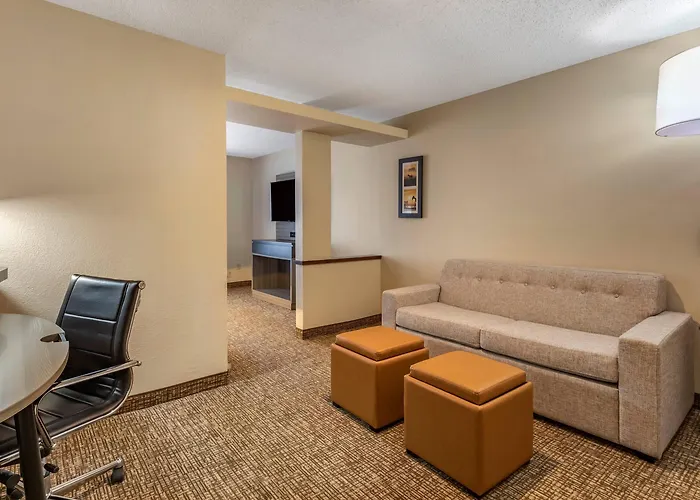 Comfort Inn & Suites North Dallas-Addison