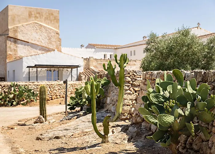 Torre Vella - Fontenille Collection