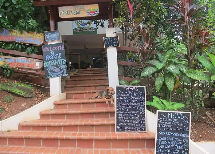 Hotel Iguanito