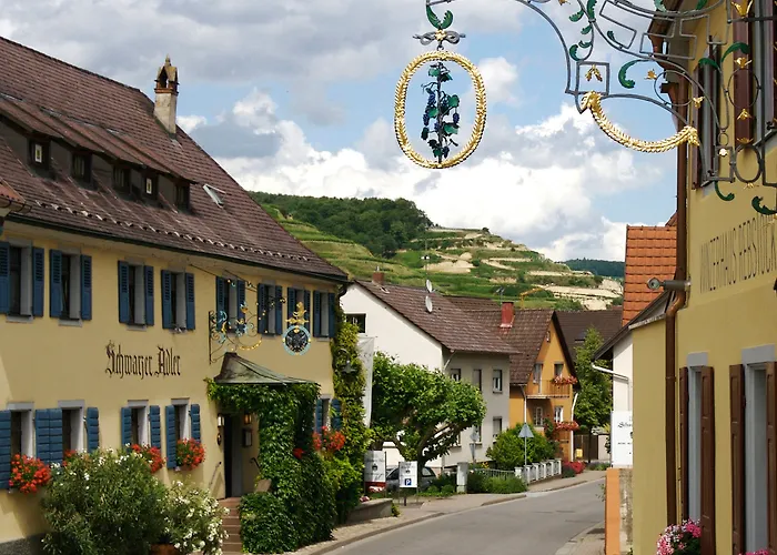 Schwarzer Adler