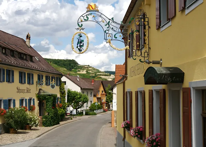Schwarzer Adler