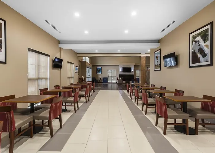 Comfort Suites - University