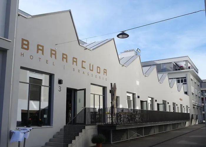 Barracuda