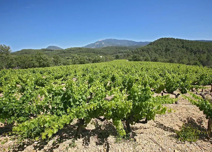 Auberge Les Olivades