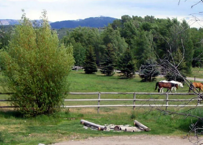 The Sassy Moose Inn